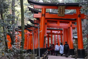 Rote Tore in Kyoto - ein Spaziergang durch 10.000 Tore zum Schrein